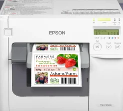 ColorWorks C3500 (incl. NiceLabel Download)