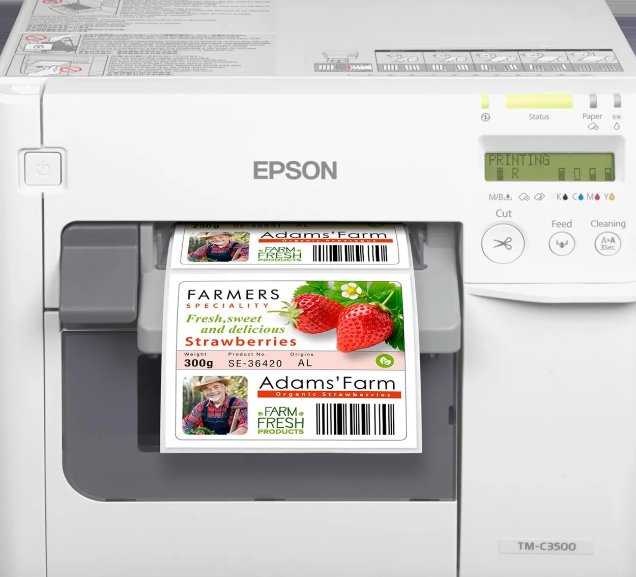 ColorWorks C3500 (incl. NiceLabel Download)