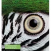 Fine Art Cotton Smooth Bright II, A2 25 Sheets