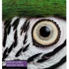 Fine Art Cotton Textured Natural II, A2 25 Sheets